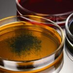 color-liquid-petri-dishes-grey-background_392895-576044